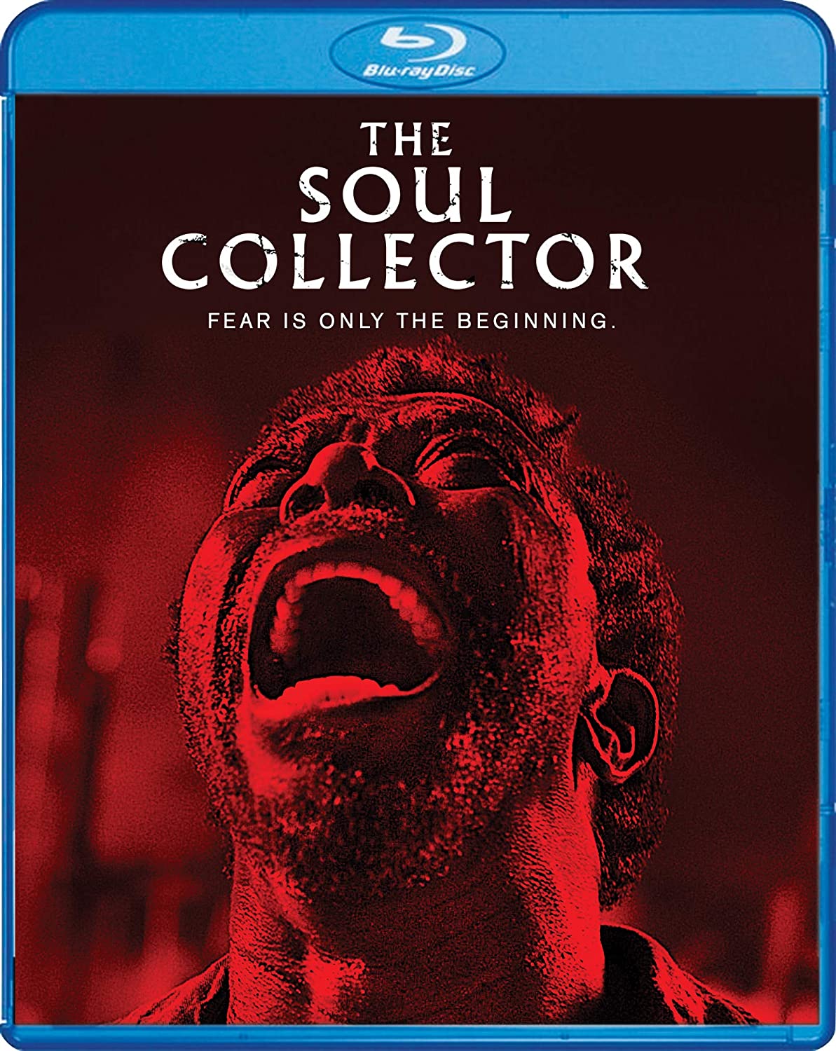 August 4th Blu Ray Dvd Releases Include Swallow Satan S Slaves The Soul Collector Daily Dead