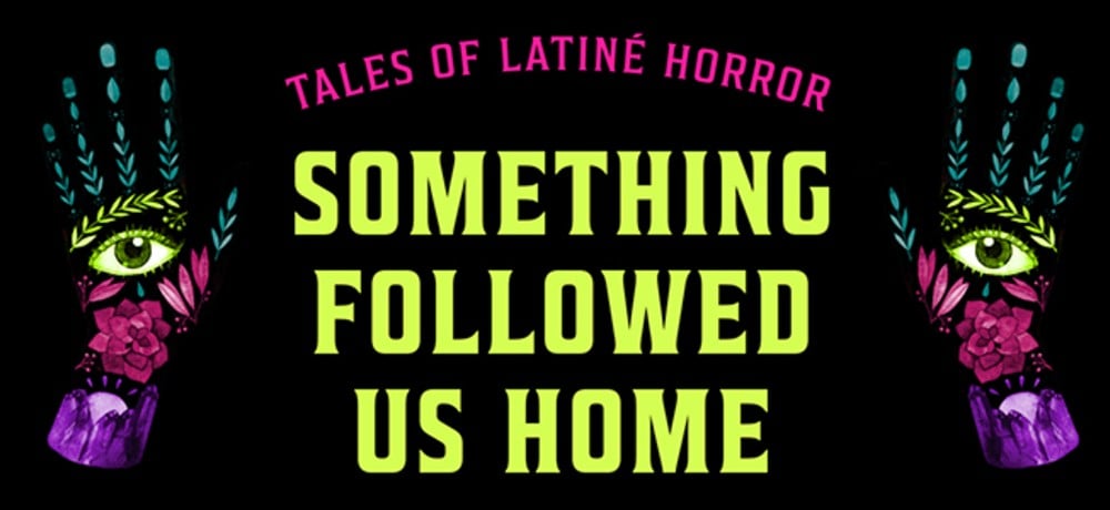 SOMETHING FOLLOWED US HOME