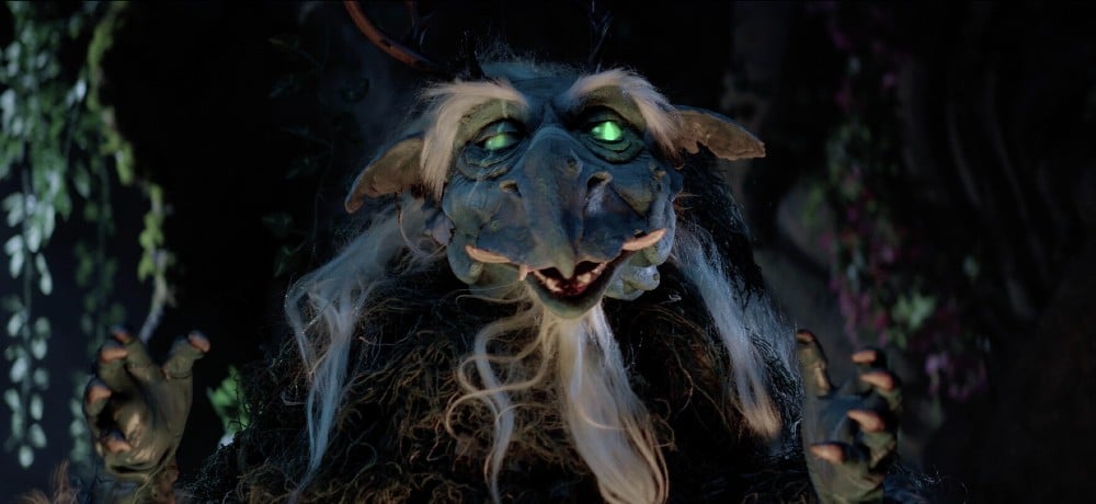THE TRAVELER & THE TROLL